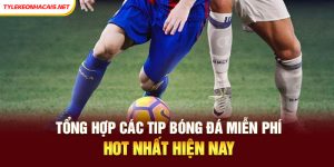 Tổng Hợp Các Tip Bóng Đá Miễn Phí Hot Nhất Hiện Nay