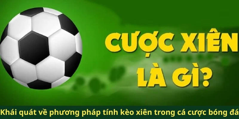 Khái quát về phương pháp tính kèo xiên trong cá cược bóng đá